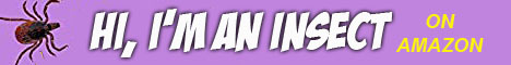604 Hi Im An Insect